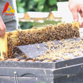 Raw Chaste Bee Honey Benefits
